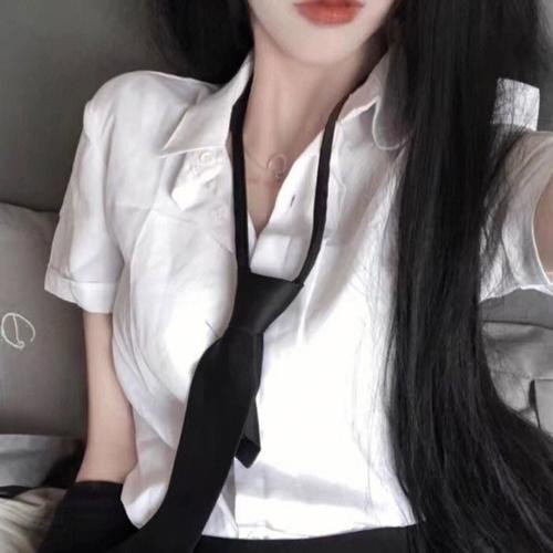 妙探双龙 海报