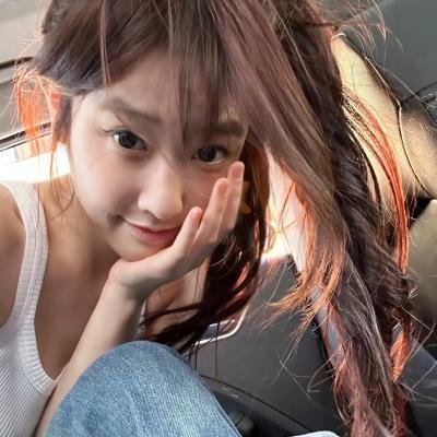 再见了,亲爱的总统 海报